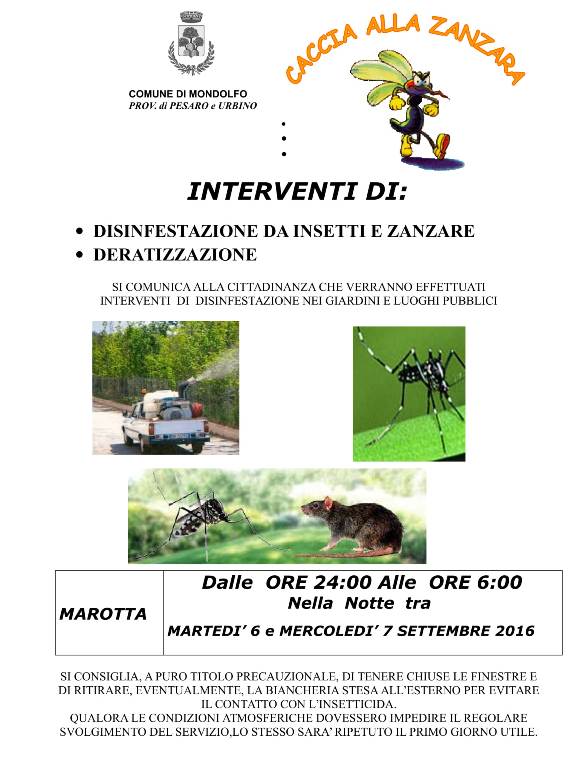 immagine_zanzara MANIFESTO Marotta - 1 Settembre-1